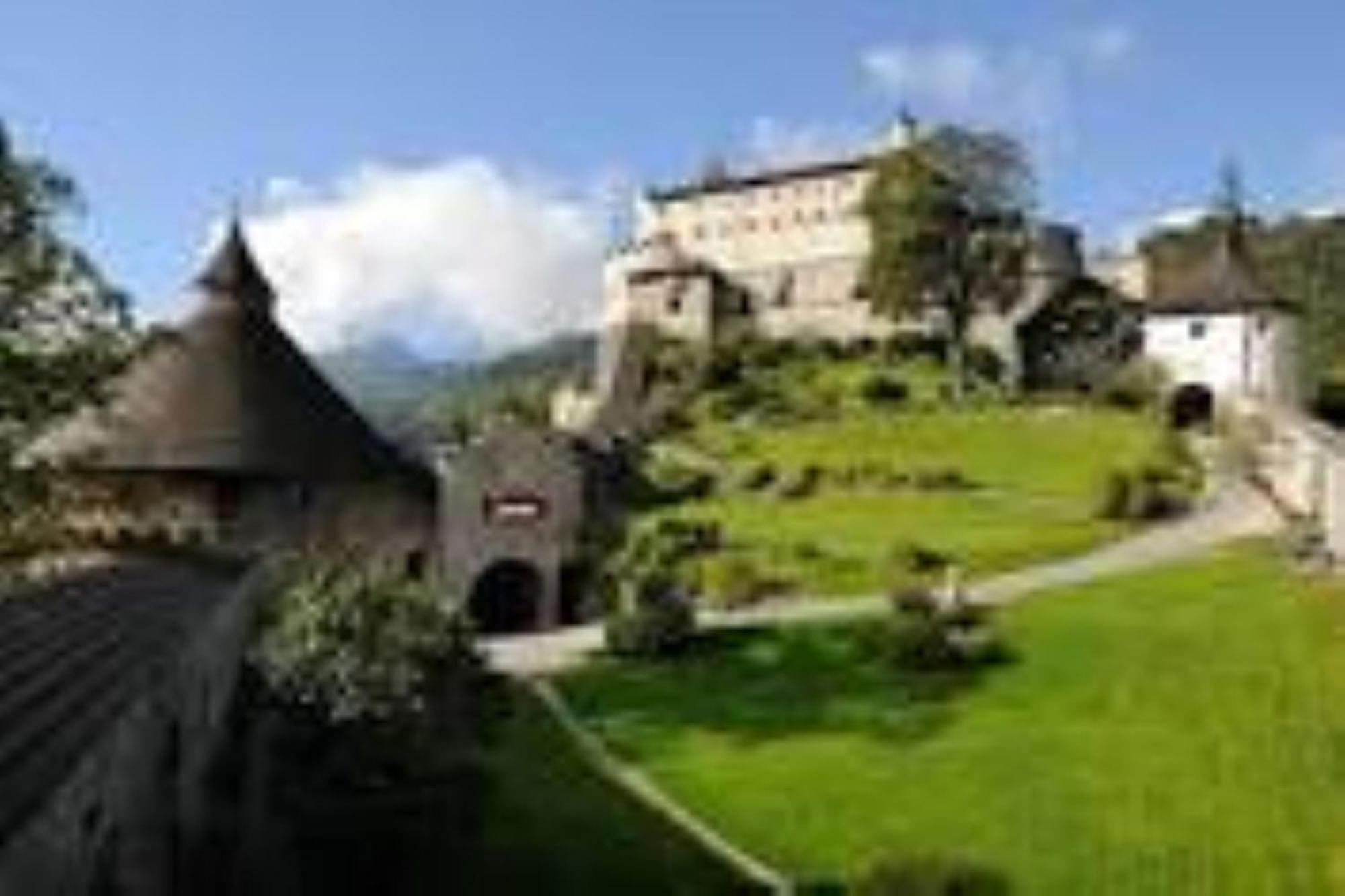 Ferienhaus Lechner Fuer Max 10 Personen - Wald Und Naturgarten Abtenau Εξωτερικό φωτογραφία