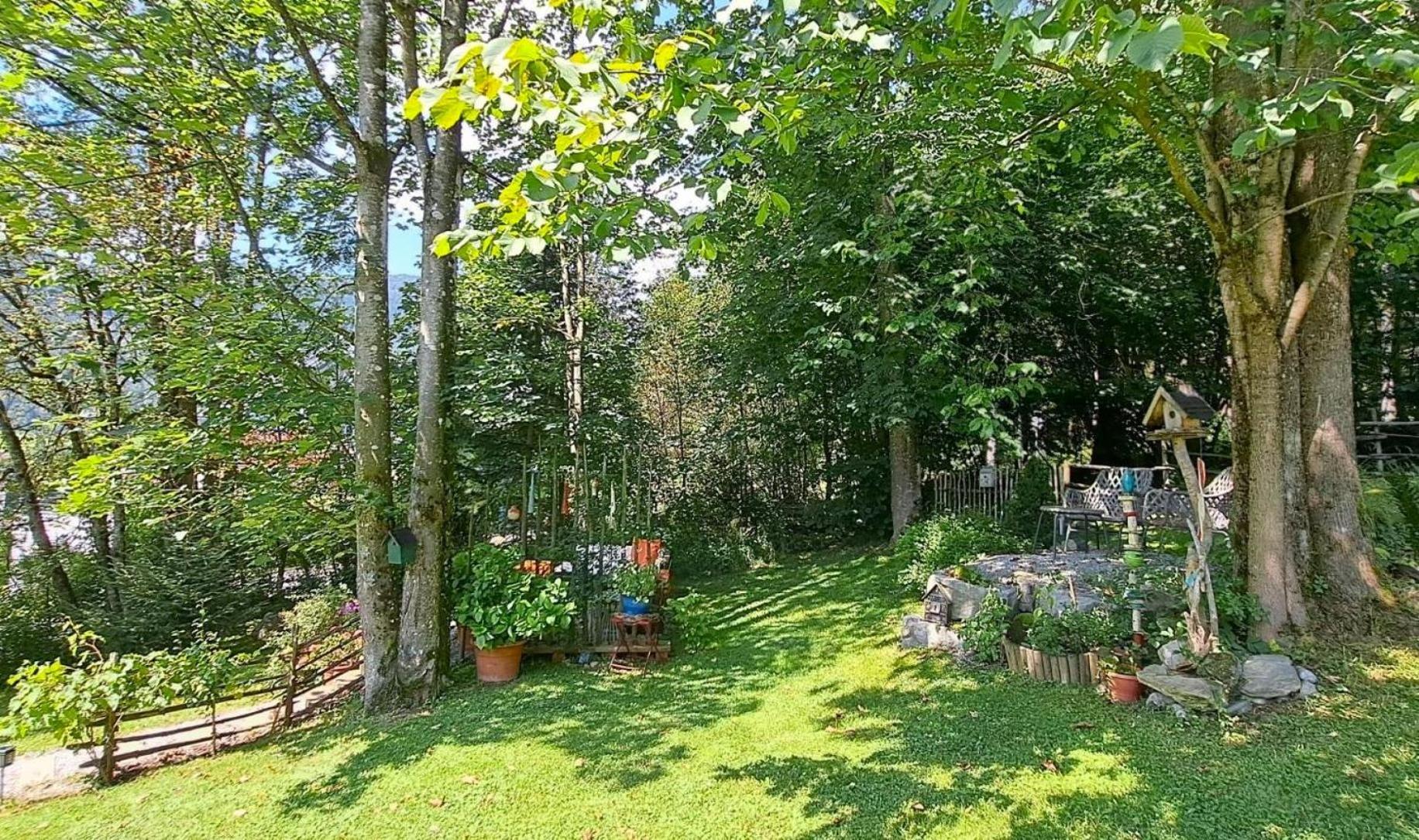 Ferienhaus Lechner Fuer Max 10 Personen - Wald Und Naturgarten Abtenau Εξωτερικό φωτογραφία